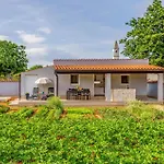 1 Bedroom Pet Friendly In